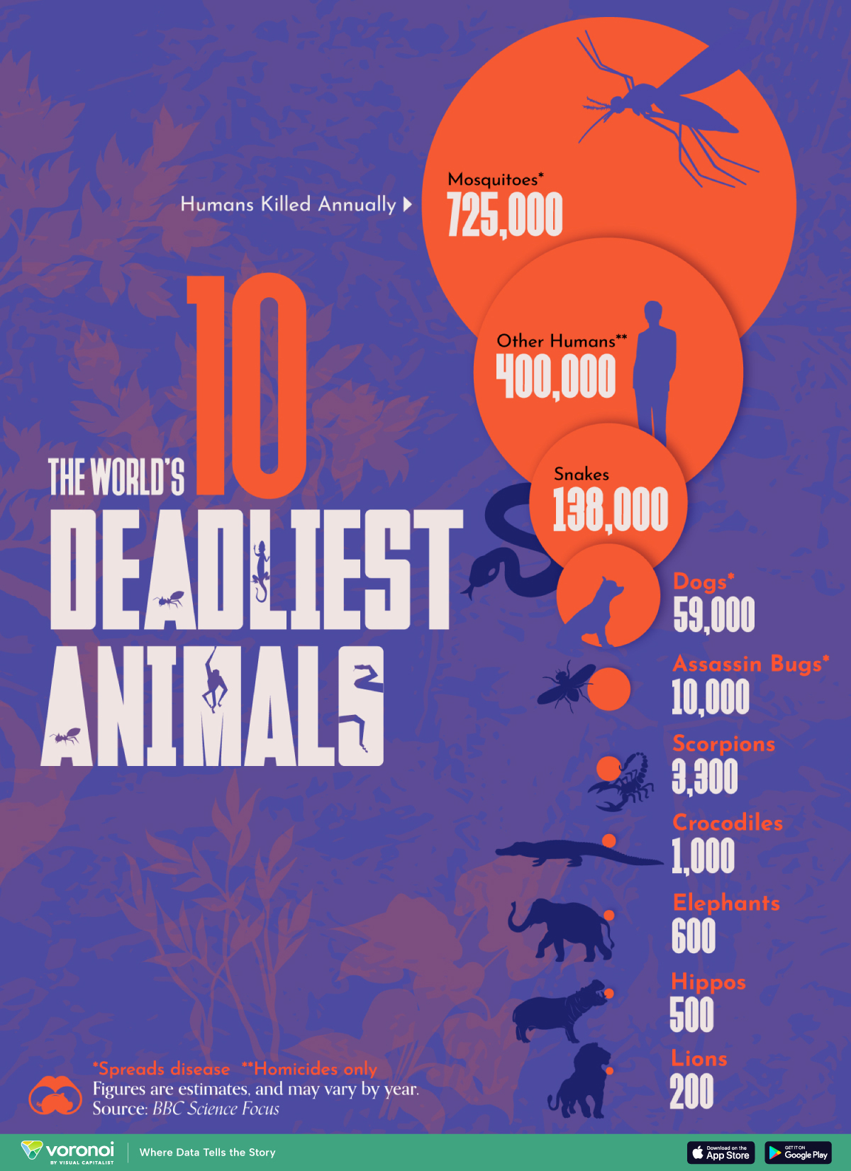 Die Grafik zeigt die 10 tödlichsten Tiere nach der Anzahl der pro Jahr getöteten Menschen